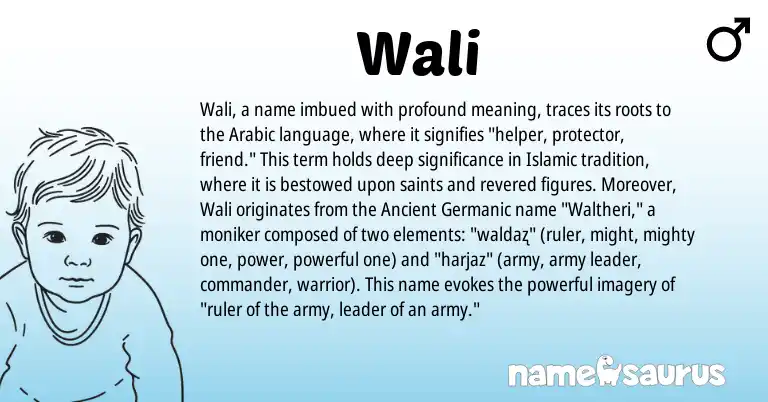 Infographic about Wali name meaning, Wali is a name from Arabic, Ancient Germanic origin(s).