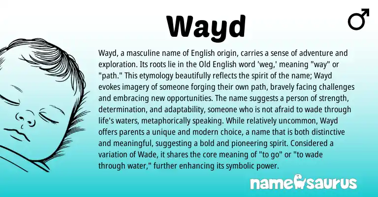 Infographic about Wayd name meaning, Wayd is a name from English origin(s).
