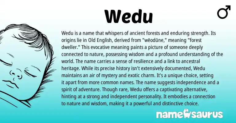 Infographic about Wedu name meaning, Wedu is a name from English origin(s).