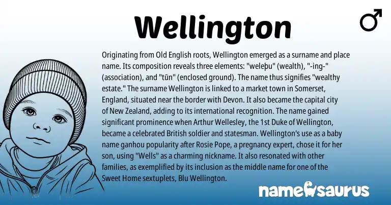 Infographic about Wellington name meaning, Wellington is a name from New Zealand, Old English, British, England origin(s).
