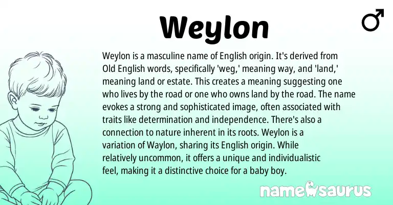 Infographic about Weylon name meaning, Weylon is a name from English origin(s).