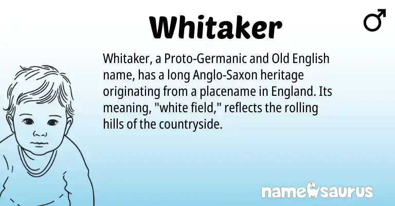 Infographic about Whitaker name meaning, Whitaker is a name from Old English, England, Germanic, Anglo-Saxon origin(s).