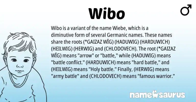 Infographic about Wibo name meaning, Wibo is a name from Germanic origin(s).