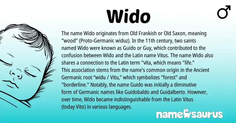 Infographic about Wido name meaning, Wido is a name from Frankish, Old Saxon, Ancient Germanic, Latin, Germanic origin(s).