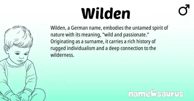Infographic about Wilden name meaning, Wilden is a name from German origin(s).