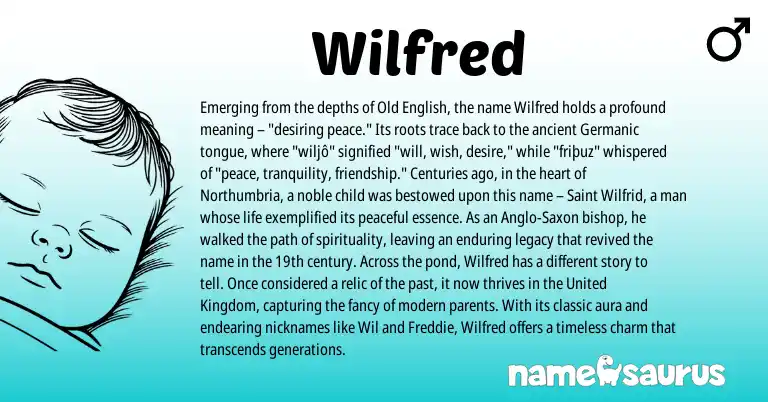 Infographic about Wilfred name meaning, Wilfred is a name from Old English, Germanic, United Kingdom, Anglo-Saxon origin(s).
