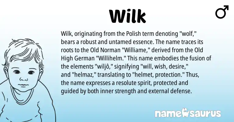 Infographic about Wilk name meaning, Wilk is a name from Old High German, Polish, Old Norman origin(s).