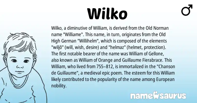Infographic about Wilko name meaning, Wilko is a name from Old High German, Old Norman, European origin(s).