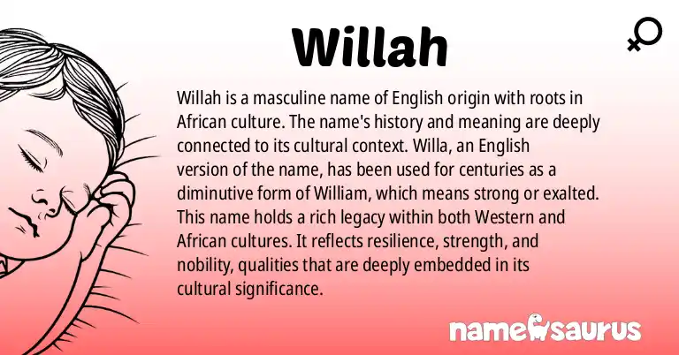 Infographic about Willah name meaning, Willah is a name from English (African) origin(s).