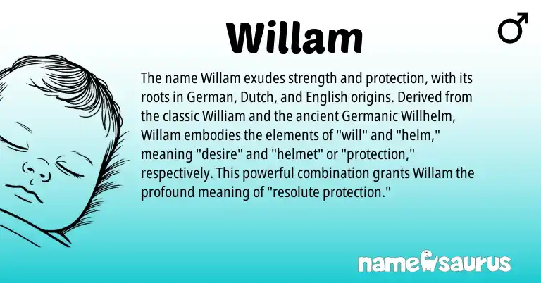 Infographic about Willam name meaning, Willam is a name from German, Dutch, Germanic, English origin(s).