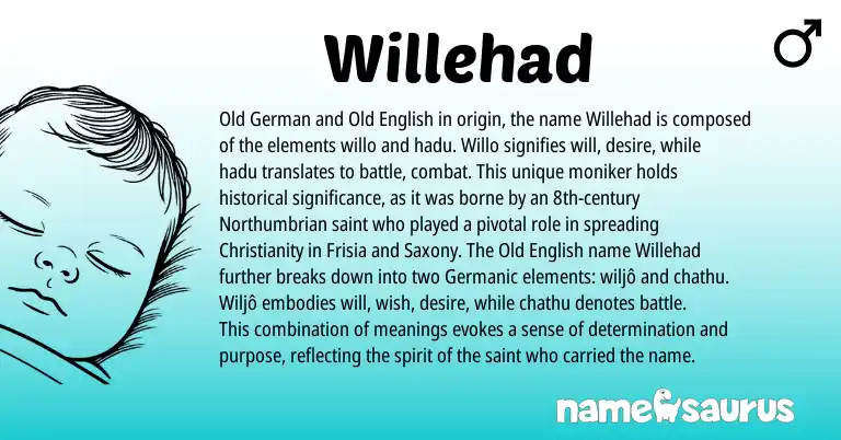 Infographic about Willehad name meaning, Willehad is a name from Old German, Old English, Christianity, Germanic origin(s).