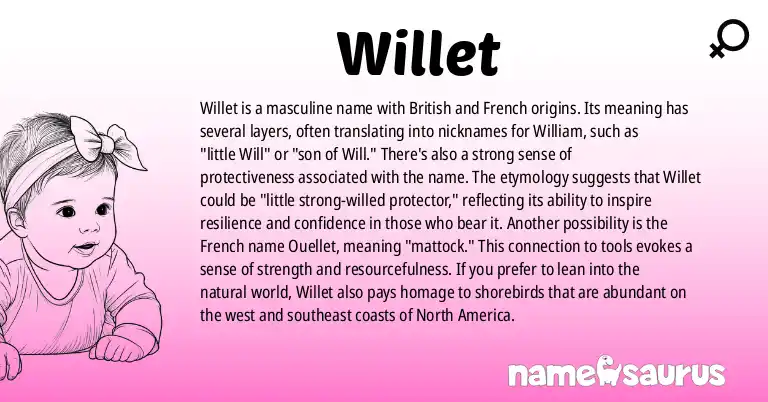 Infographic about Willet name meaning, Willet is a name from British, French origin(s).