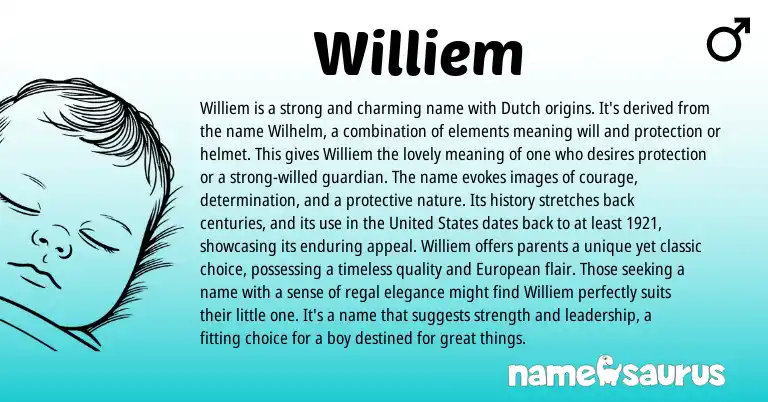 Infographic about Williem name meaning, Williem is a name from Germanic, Dutch origin(s).