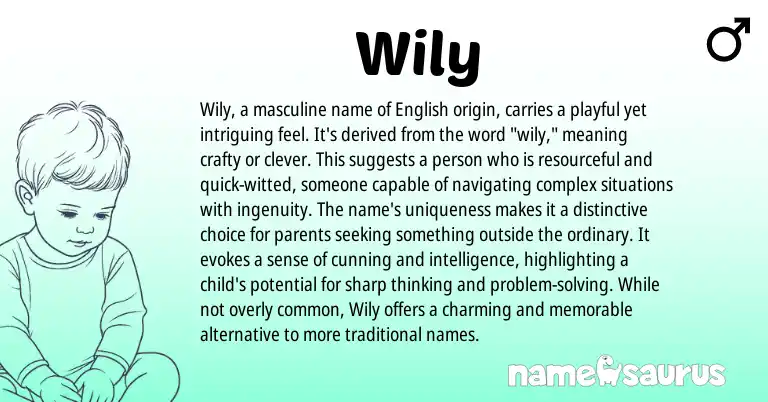 Infographic about Wily name meaning, Wily is a name from English origin(s).