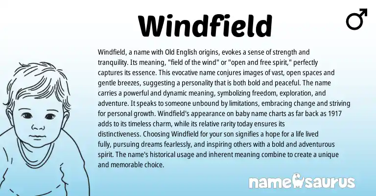 Infographic about Windfield name meaning, Windfield is a name from English origin(s).