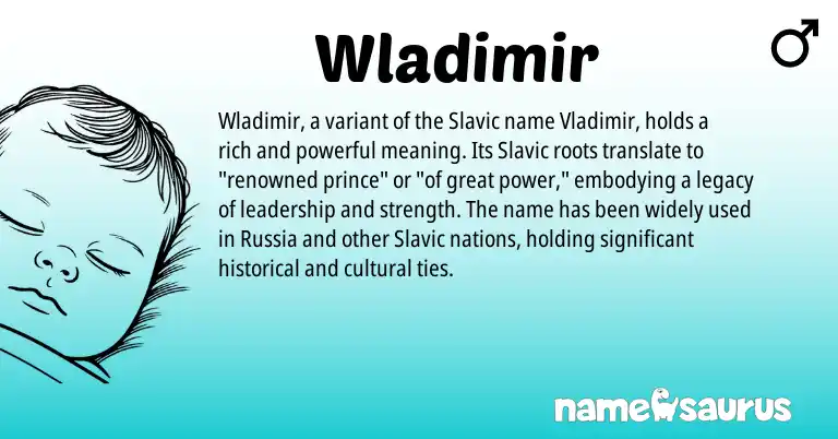 Infographic about Wladimir name meaning, Wladimir is a name from Slavic origin(s).