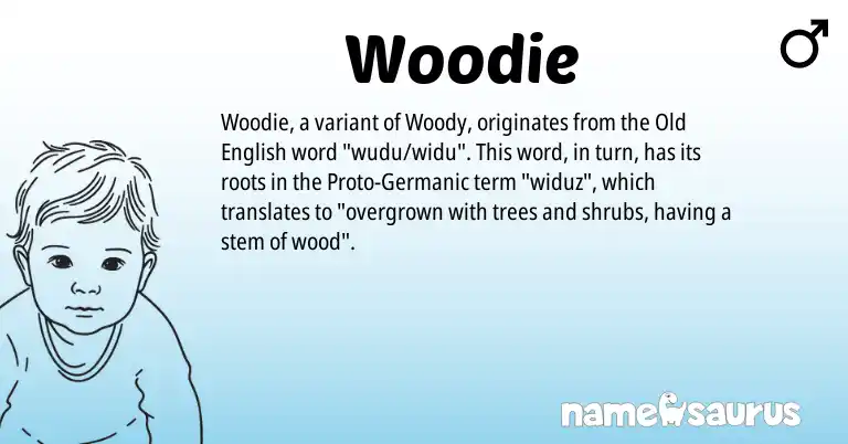 Infographic about Woodie name meaning, Woodie is a name from Old English, Germanic origin(s).
