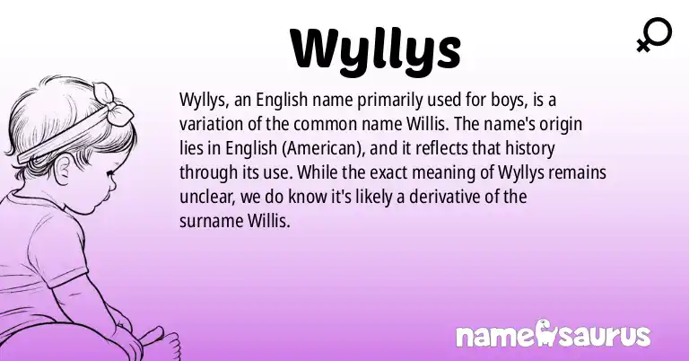 Infographic about Wyllys name meaning, Wyllys is a name from English (American) origin(s).