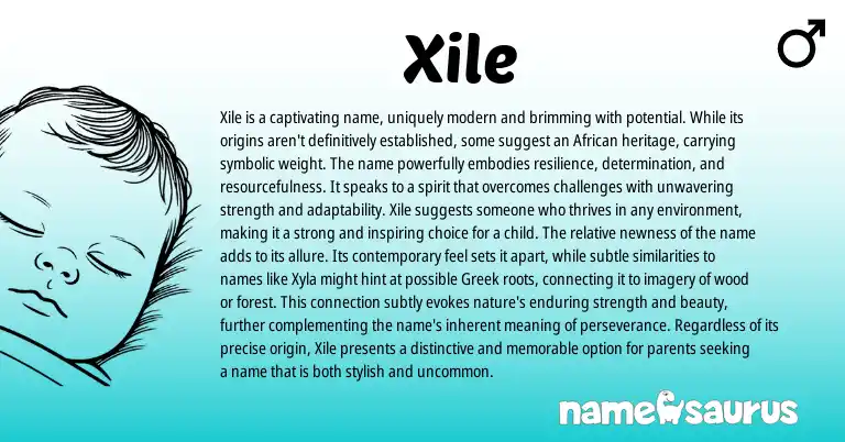 Infographic about Xile name meaning, Xile is a name from African origin(s).