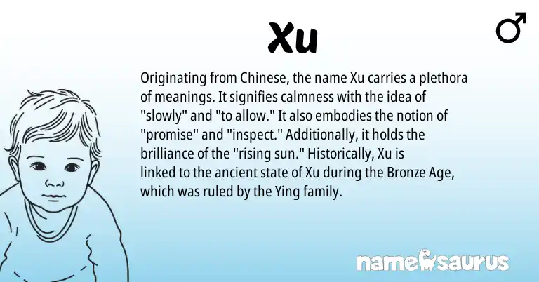 Infographic about Xu name meaning, Xu is a name from Chinese origin(s).