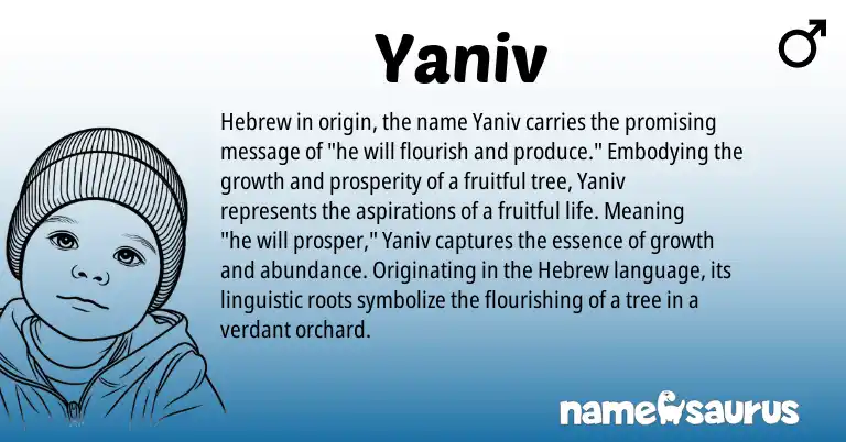 Infographic about Yaniv name meaning, Yaniv is a name from Hebrew origin(s).