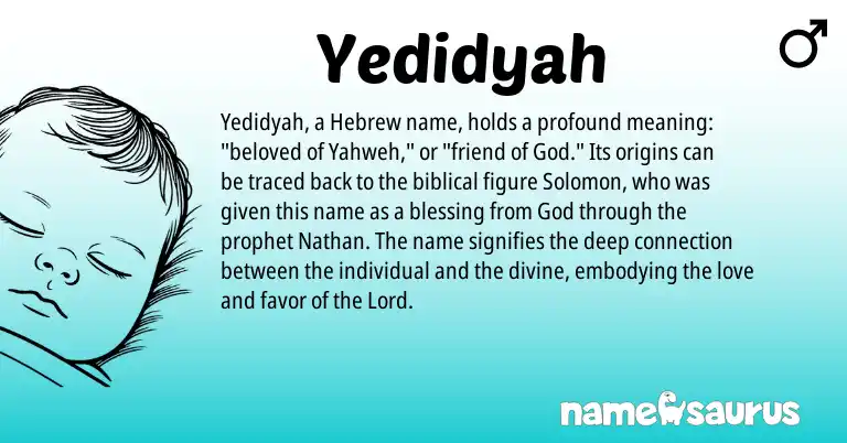 Infographic about Yedidyah name meaning, Yedidyah is a name from Hebrew origin(s).