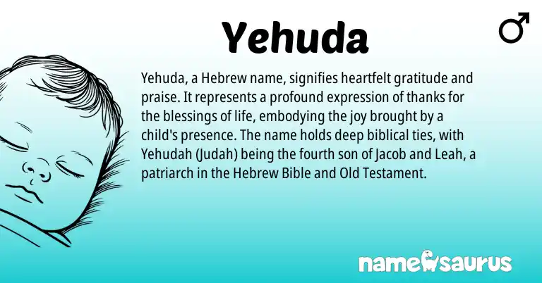 Infographic about Yehuda name meaning, Yehuda is a name from Hebrew origin(s).