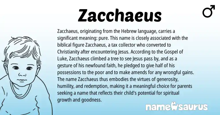 Infographic about Zacchaeus name meaning, Zacchaeus is a name from Christianity, Hebrew origin(s).