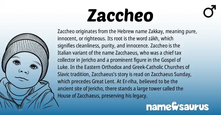 Infographic about Zaccheo name meaning, Zaccheo is a name from Slavic, Greek, Hebrew, Italian origin(s).