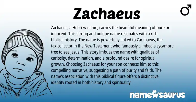 Infographic about Zachaeus name meaning, Zachaeus is a name from Hebrew, Biblical origin(s).