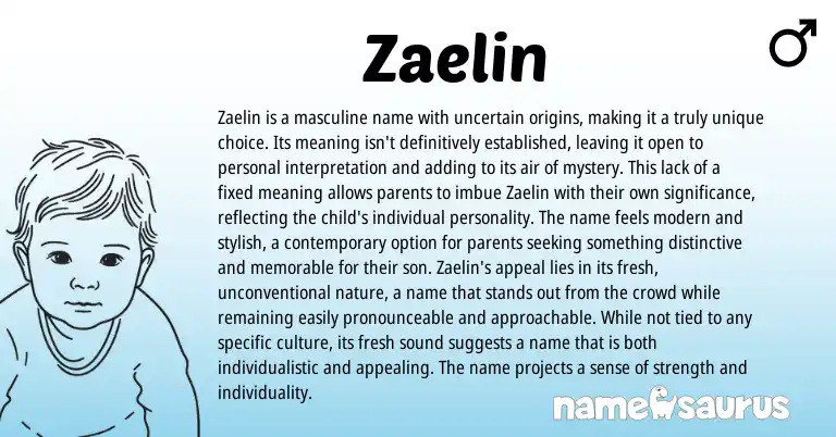 Infographic about Zaelin name meaning, Zaelin is a name from Other origin(s).
