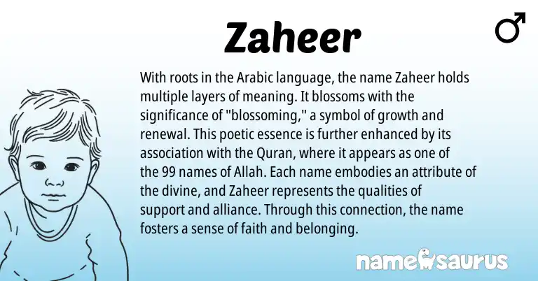 Infographic about Zaheer name meaning, Zaheer is a name from Arabic origin(s).