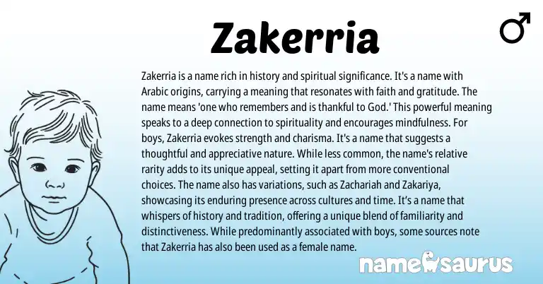 Infographic about Zakerria name meaning, Zakerria is a name from Hebrew, Arabic origin(s).