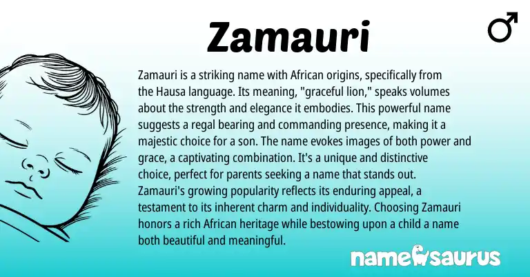 Infographic about Zamauri name meaning, Zamauri is a name from Hausa, African origin(s).