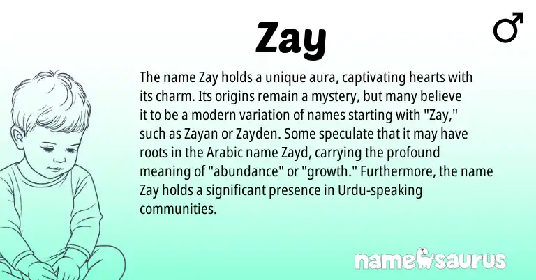 Infographic about Zay name meaning, Zay is a name from Urdu, Arabic origin(s).