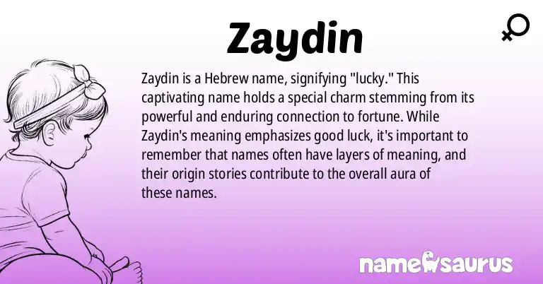 Infographic about Zaydin name meaning, Zaydin is a name from Hebrew origin(s).
