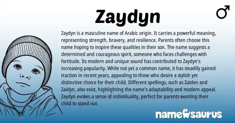 Infographic about Zaydyn name meaning, Zaydyn is a name from Arabic origin(s).