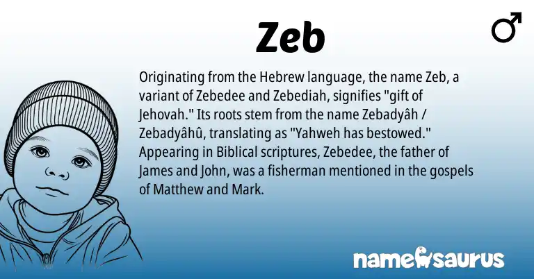 Infographic about Zeb name meaning, Zeb is a name from Hebrew origin(s).