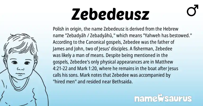 Infographic about Zebedeusz name meaning, Zebedeusz is a name from Polish, Hebrew origin(s).