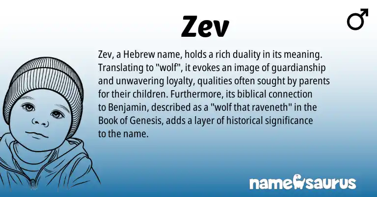 Infographic about Zev name meaning, Zev is a name from Hebrew origin(s).