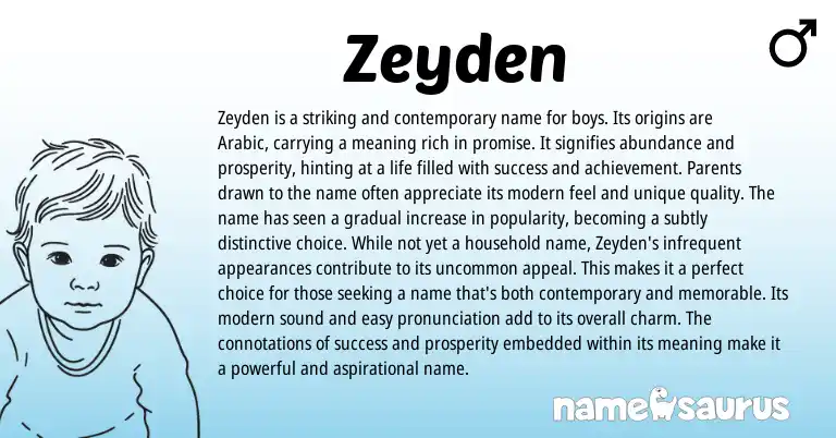 Infographic about Zeyden name meaning, Zeyden is a name from Arabic origin(s).