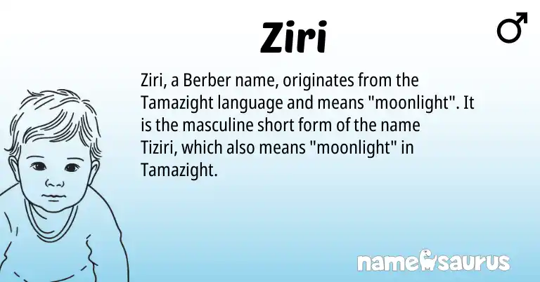 Infographic about Ziri name meaning, Ziri is a name from Berber origin(s).