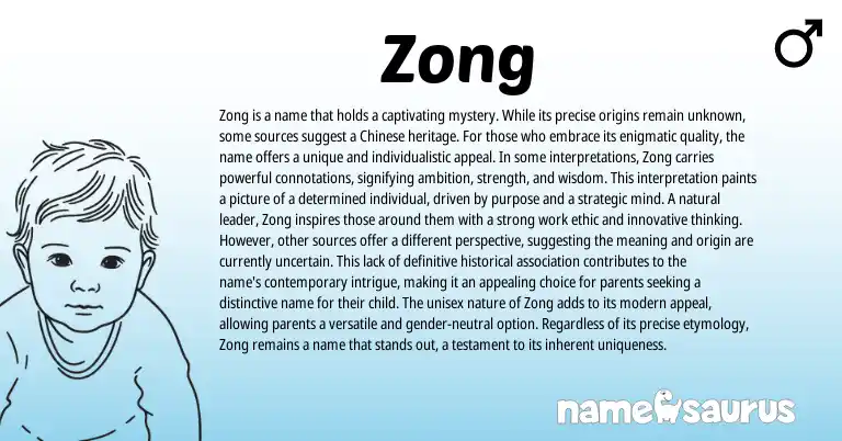 Infographic about Zong name meaning, Zong is a name from Chinese origin(s).