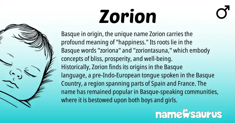 Infographic about Zorion name meaning, Zorion is a name from Spain, Basque, European origin(s).