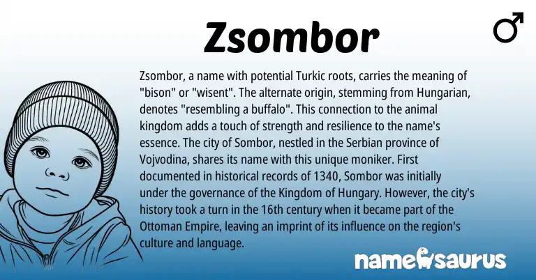 Infographic about Zsombor name meaning, Zsombor is a name from Serbian, Hungarian origin(s).