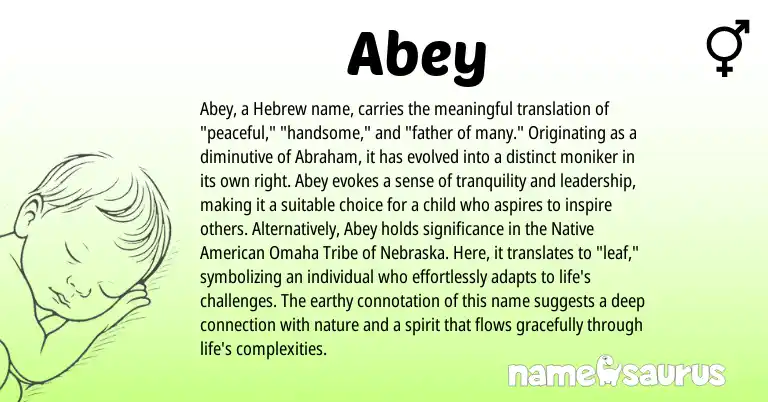 Infographic about Abey name meaning, Abey is a name from Native American, Omaha, Hebrew origin(s).