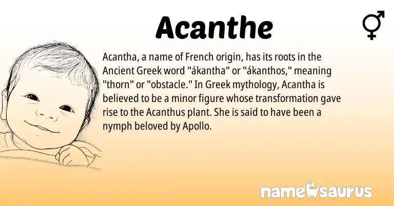 Infographic about Acanthe name meaning, Acanthe is a name from Ancient Greek, French, Greek origin(s).