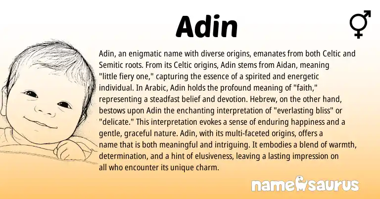 Infographic about Adin name meaning, Adin is a name from Arabic, Semitic, Celtic, Hebrew origin(s).