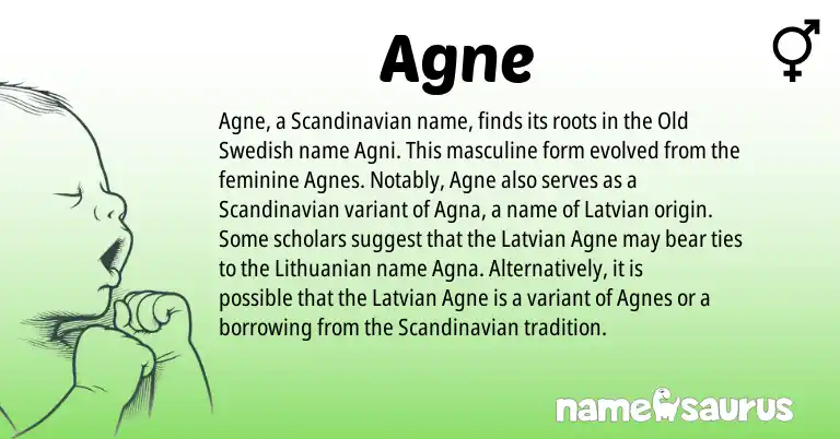 Infographic about Agne name meaning, Agne is a name from Lithuanian, Scandinavian, Old Swedish, Latvian origin(s).