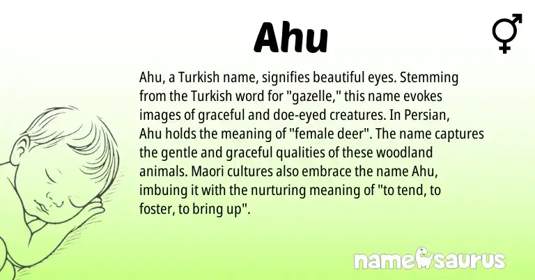 Infographic about Ahu name meaning, Ahu is a name from Maori, Persian, Turkish origin(s).
